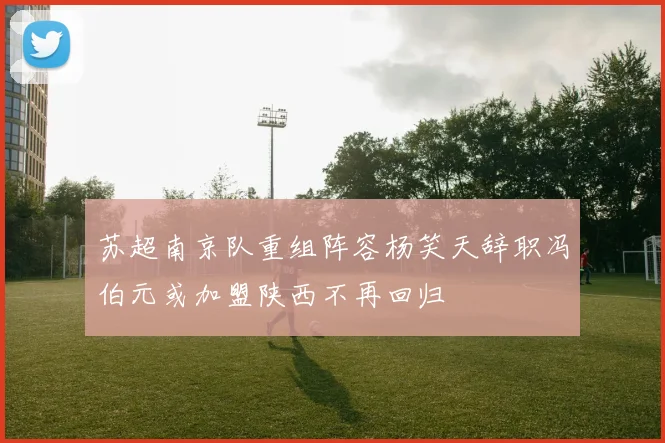 苏超南京队重组阵容杨笑天辞职冯伯元或加盟陕西不再回归