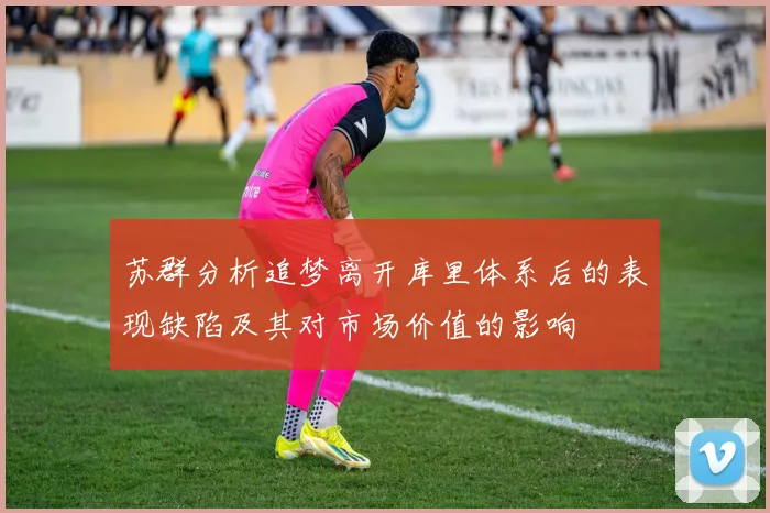 苏群分析追梦离开库里体系后的表现缺陷及其对市场价值的影响